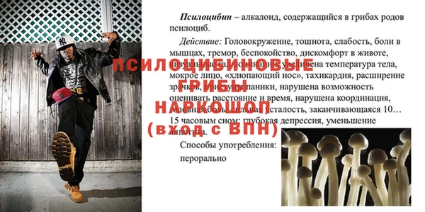 МДПВ Абаза