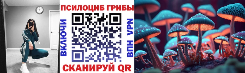 кракен зеркало  Лермонтов  Псилоцибиновые грибы Magic Shrooms 
